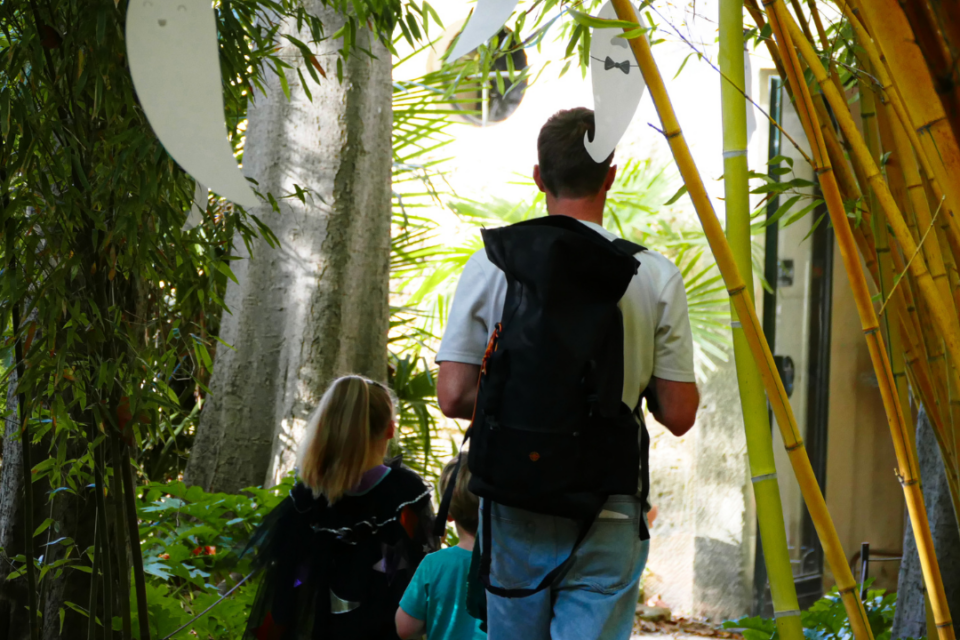 Entre citrouilles et devinettes, la sorcière Percelune fait tourner la tête des petits détectives.