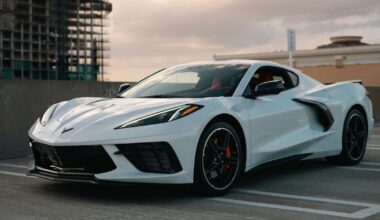 Trois oursons s'amusent avec une Corvette C8 devant une maison