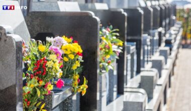 Des ossements humains retrouvés dans une tombe près de Toulouse, une enquête ouverte