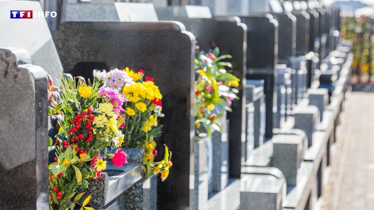 Des ossements humains retrouvés dans une tombe près de Toulouse, une enquête ouverte