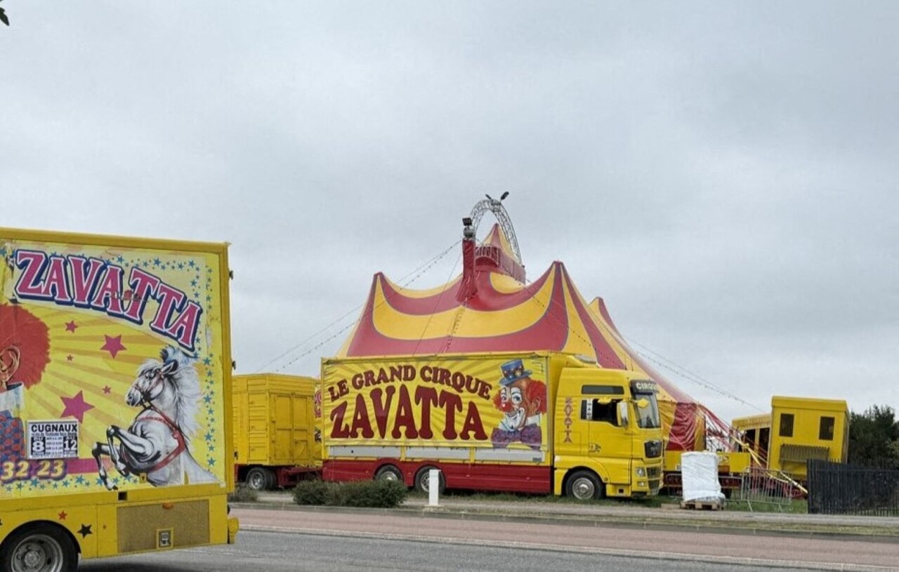 polémique autour d'un cirque controversé à Toulouse