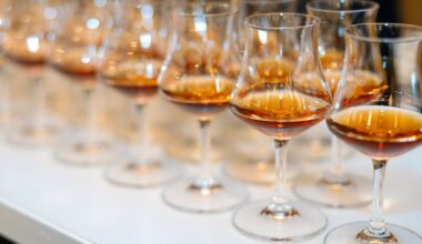 Le tout premier festival du monde dédié au Cognac arrive à Bordeaux