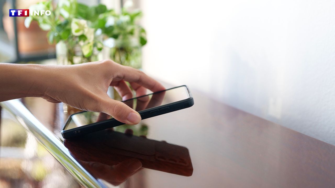 Île-de-France : pourquoi une alarme d'alerte va sonner mercredi sur les téléphones dans 18 communes