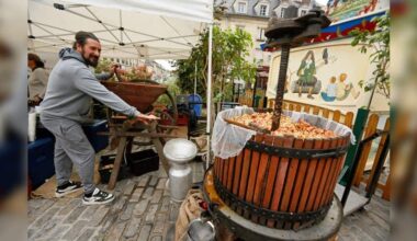 Les producteurs du Compiégnois ont eu le bon goût de s'installer au pied de l'hôtel de ville
