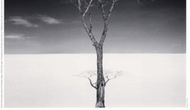 Nice. Les argentiques de Michael Kenna…