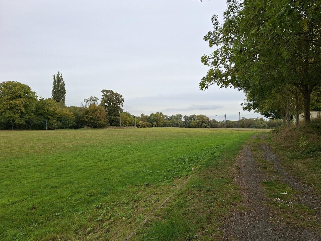 près de Rouen, un chien sème le trouble dans le village