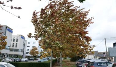 "Cette dépression doit être prise au sérieux"