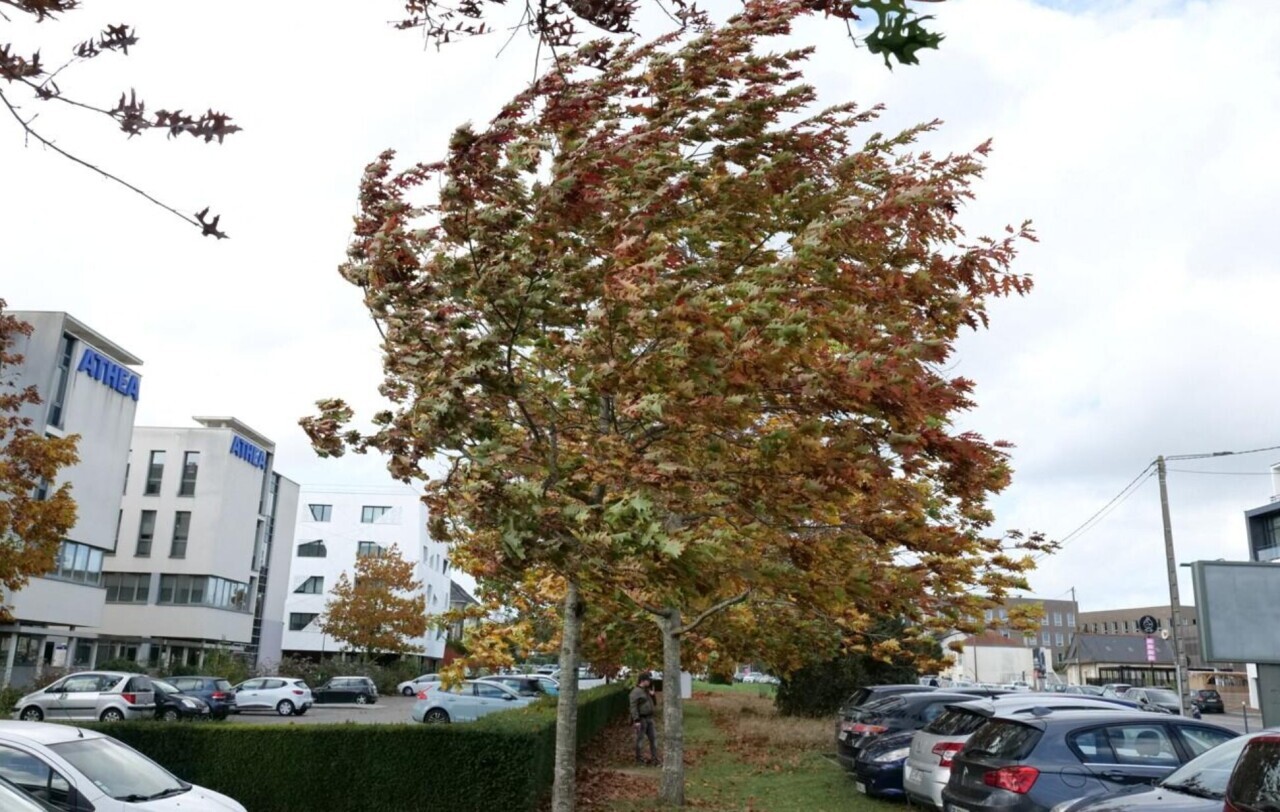 "Cette dépression doit être prise au sérieux"