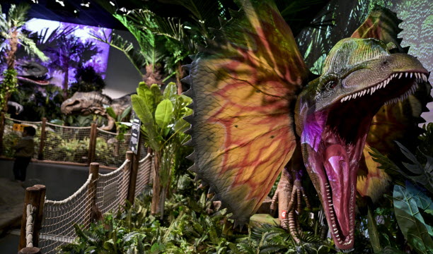 Des animatroniques de dinosaures impressionnantes à Mini World.   Photo Maxime Jegat
