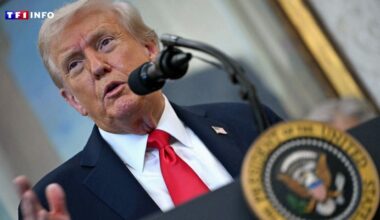 Guerre en Ukraine : Donald Trump rencontrera Vladimir Poutine "dans les deux prochaines semaines" en Hongrie