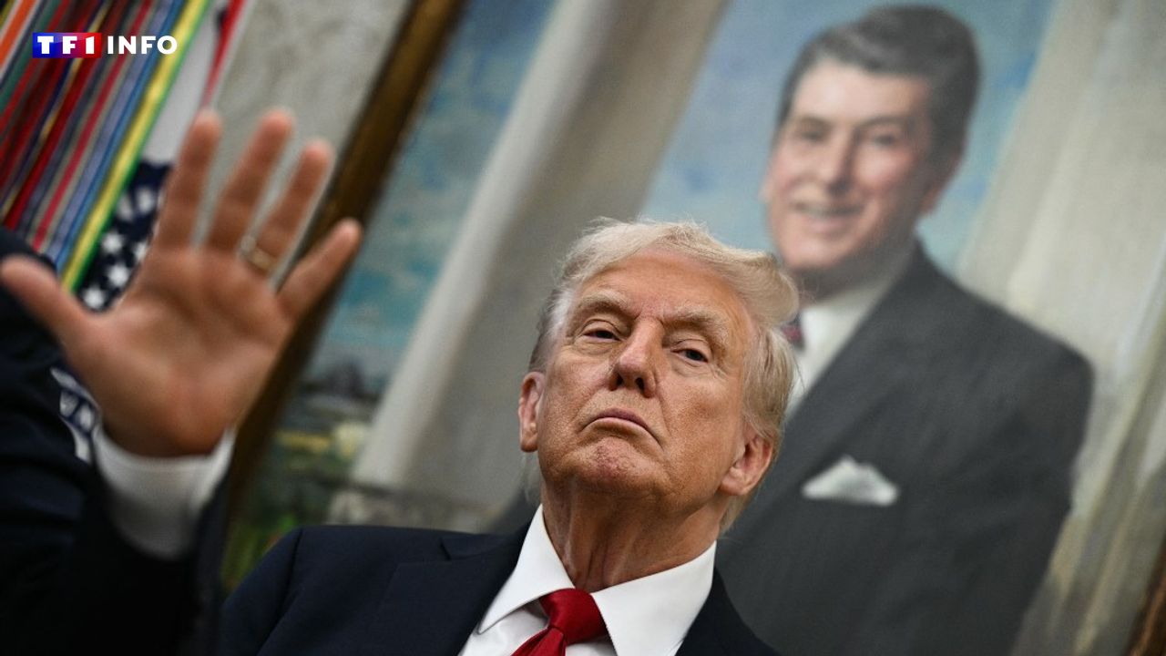 "C'est sa marque de fabrique" : Donald Trump fait le show en Asie