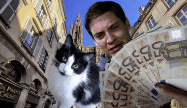 à Strasbourg, on peut gagner 400€ avec nos allergies !