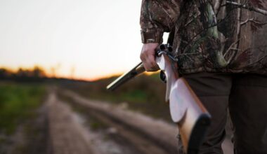 La commission européenne sermonne la France sur les armes