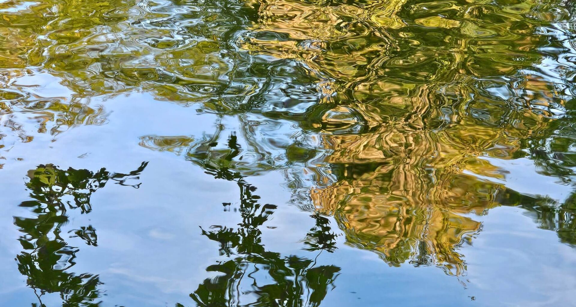 Dépollution des eaux usées : jusqu'à un milliard d'euros à investir en Ile-de-France