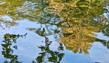 Dépollution des eaux usées : jusqu'à un milliard d'euros à investir en Ile-de-France