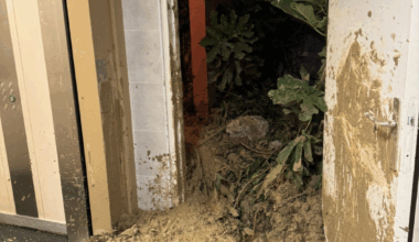 Nice. Grosse frayeur pour les habitants de ce quartier, ce que l'on sait de l'éboulement