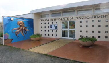 Deux superbes fresques de Blesea décorent la façade d'un établissement à Cherbourg