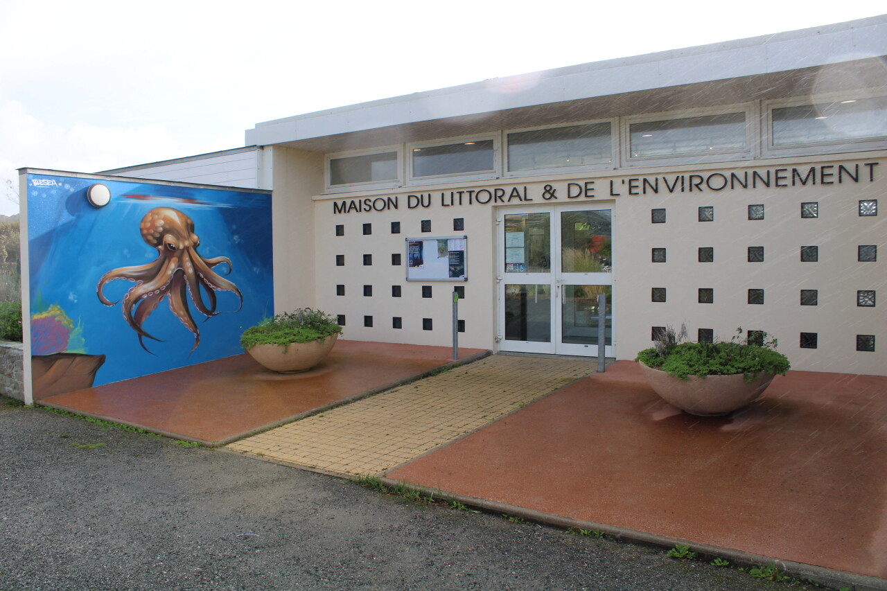 Deux superbes fresques de Blesea décorent la façade d'un établissement à Cherbourg