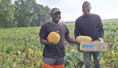 À Rennes, des migrants sans-papiers cultivent la solidarité