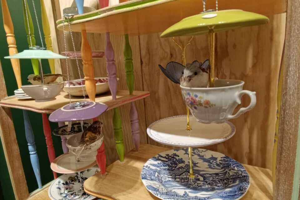 frizette boutique les fabricants lille