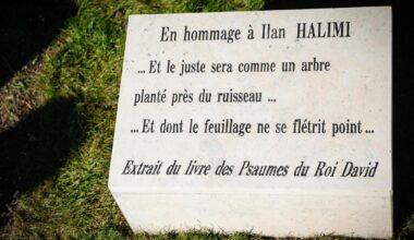 l’olivier planté en hommage à Ilan Halimi a été arraché