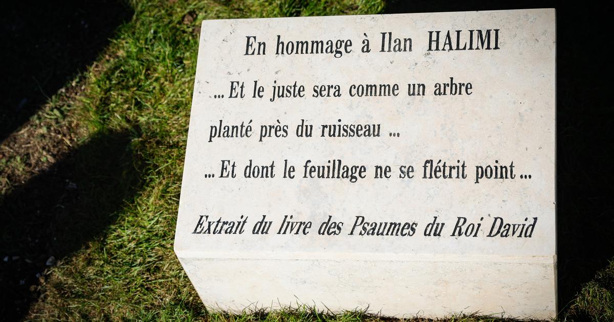 l’olivier planté en hommage à Ilan Halimi a été arraché