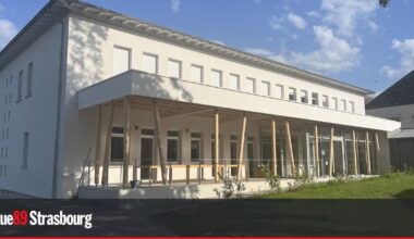 La Collectivité d'Alsace remet en question l'accompagnement de personnes atteintes de troubles psychiques