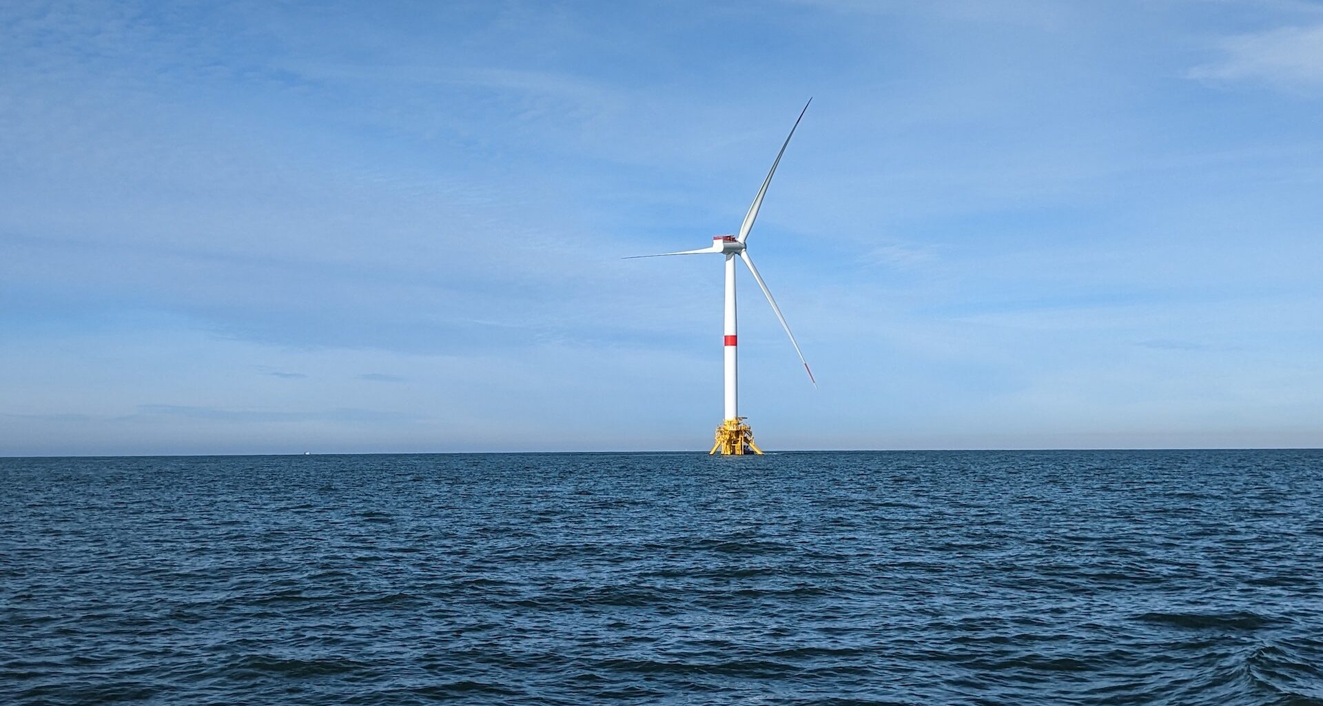 Une étude pointe l'impact des éoliennes en mer sur les oiseaux