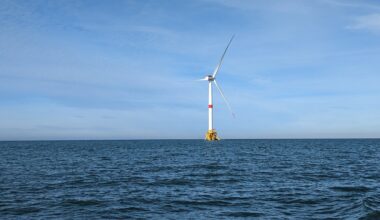 Une étude pointe l'impact des éoliennes en mer sur les oiseaux