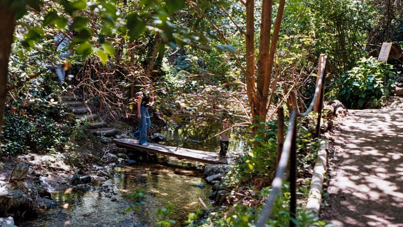 Le ruisseau des Aygalades, sur la parcelle de la cité des arts de la rue, aux Aygalades (15e).