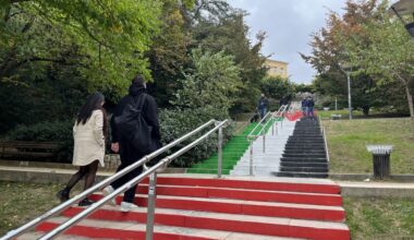 Lyon. Ce grand escalier repeint aux couleurs de la Palestine, une plainte déposée