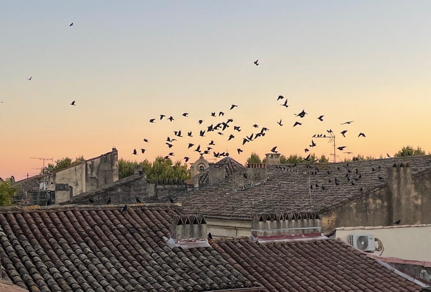 Festival Saveurs & Savoirs 2025 à Uzès : quand la culture du goût fait sa rentrée