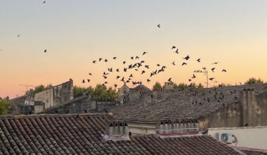 Festival Saveurs & Savoirs 2025 à Uzès : quand la culture du goût fait sa rentrée