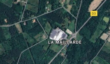 Grâce au coup de force d'une association, le défrichement d'1,8 hectare de forêt dans le Médoc a été interdit