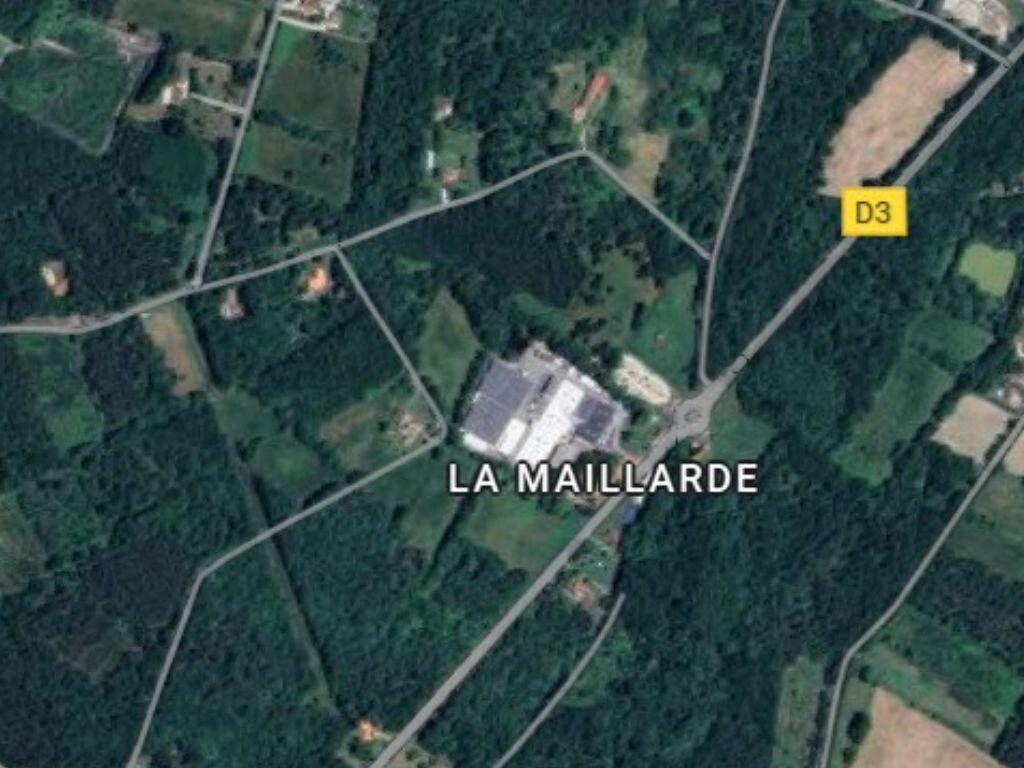 Grâce au coup de force d'une association, le défrichement d'1,8 hectare de forêt dans le Médoc a été interdit