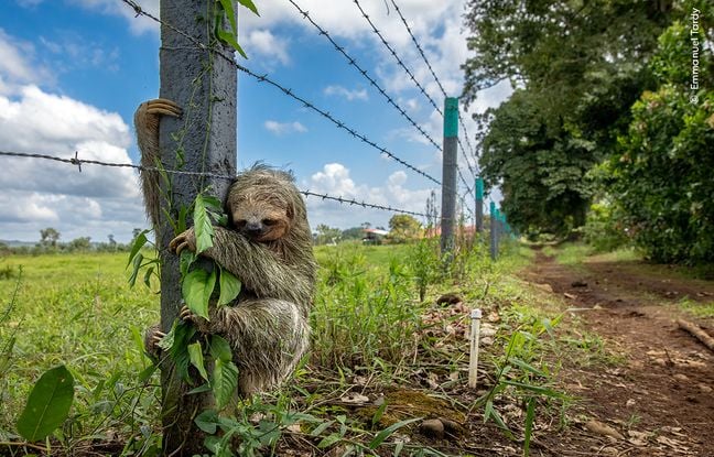 Page d'accueil Yahoo news