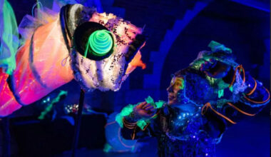 À Alençon, un spectacle lumineux et immersif plonge le public sous la mer