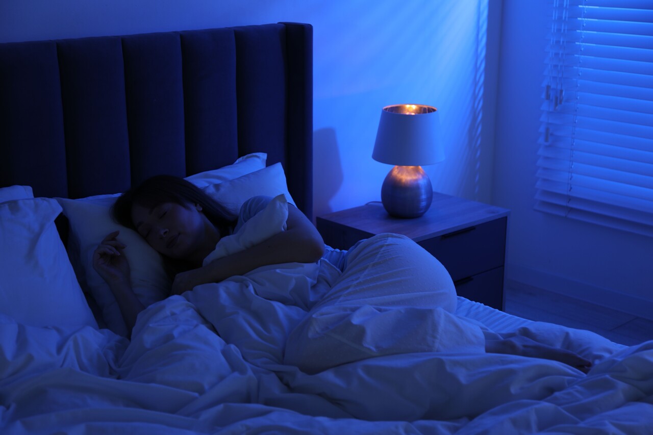 il se glisse dans le lit d'une femme pendant que son compagnon est allé sortir le chien