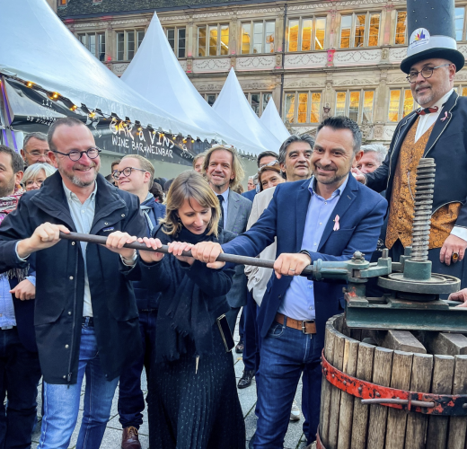 Fête des vendanges et du goût vitrines de strasbourg