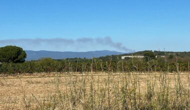 60 pompiers et deux Canadair à l'attaque
