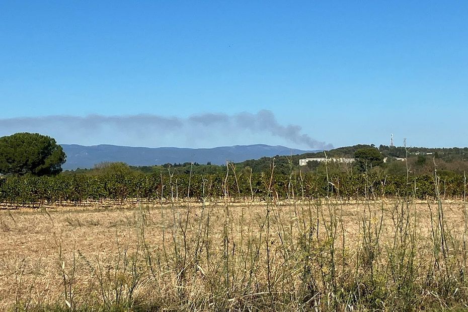 60 pompiers et deux Canadair à l'attaque