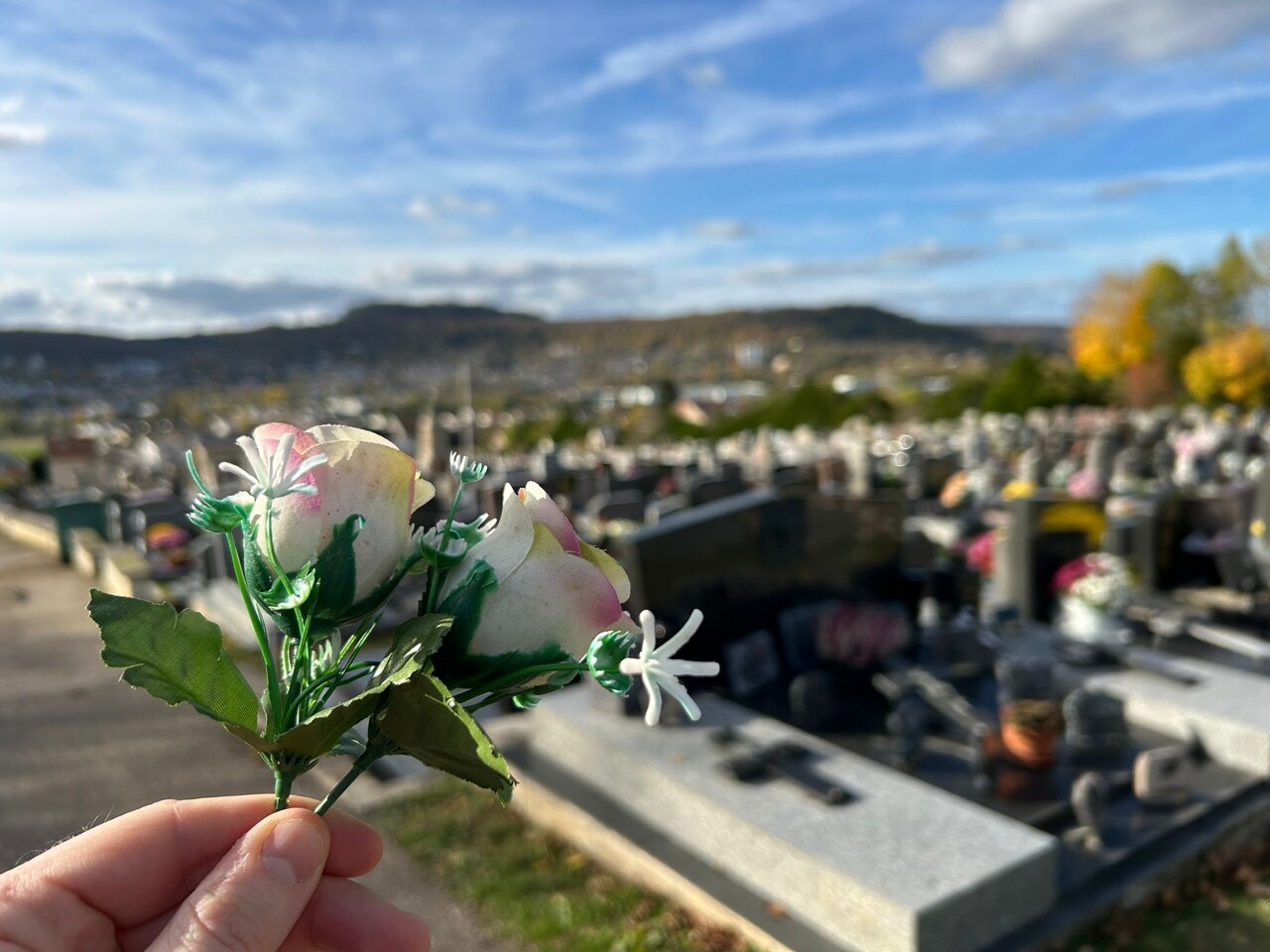 Dans ce cimetière près de Nancy, la mairie a interdit les fleurs artificielles : "C'est ridicule"