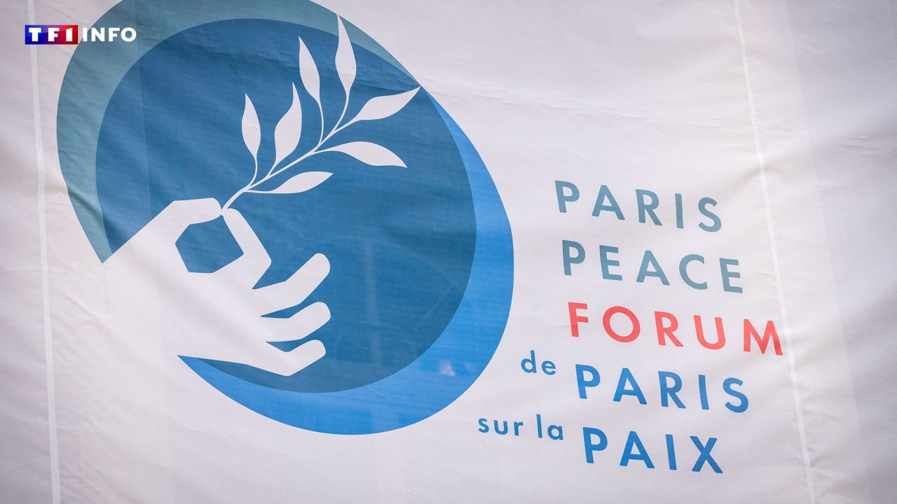 "Un impact ponctuel mais réel" : en quoi consiste le Forum de Paris sur la Paix, qui s'ouvre ce mercredi ?