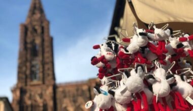 Top 5 des trucs de touristes que les vrais Strasbourgeois ne font jamais