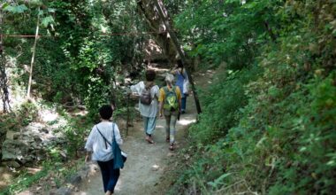 Aux Aygalades à Marseille, une nature qui attend d'être encore mieux protégée