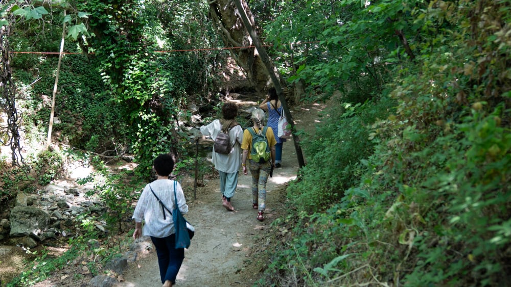 Aux Aygalades à Marseille, une nature qui attend d'être encore mieux protégée