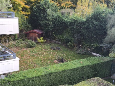 Galaxy Tab S11 Ultra - zoom 2x