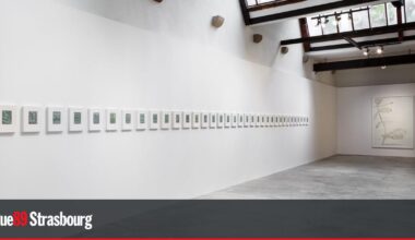 Nicolas Schneider entre temps et matière à la Galerie East