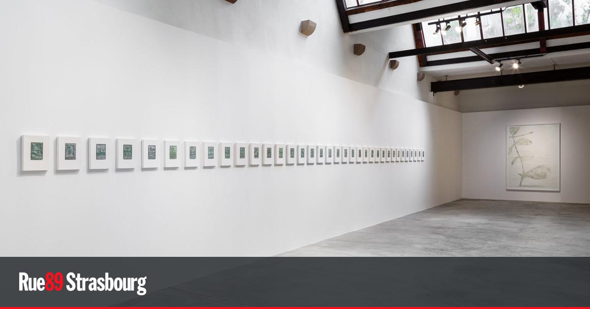 Nicolas Schneider entre temps et matière à la Galerie East