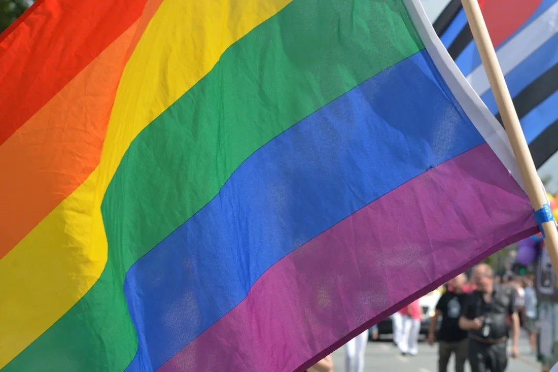 Iskis organise notamment la marche des fiertés à Rennes